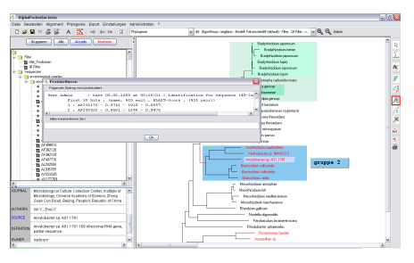 TREE Screenshot